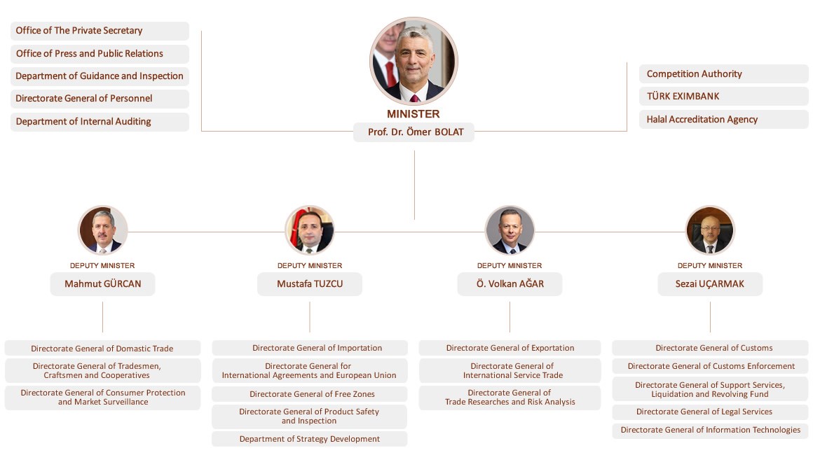 Organizational Structure